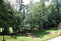 View 2 From The Deck
